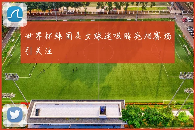 世界杯韩国美女球迷吸睛亮相赛场引关注