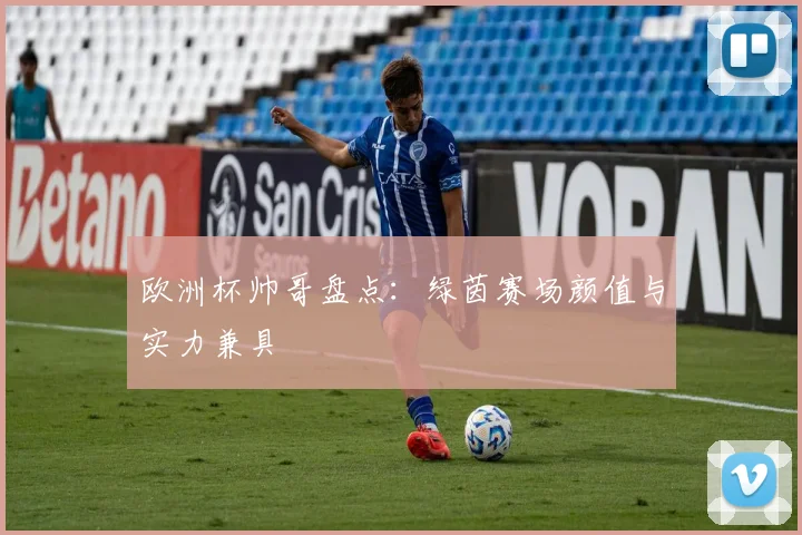 欧洲杯帅哥盘点：绿茵赛场颜值与实力兼具