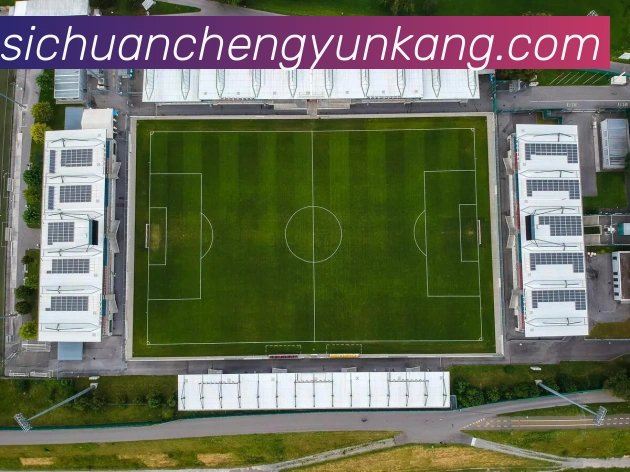 开云kaiyun在线官网APP 体育赛事宣传图